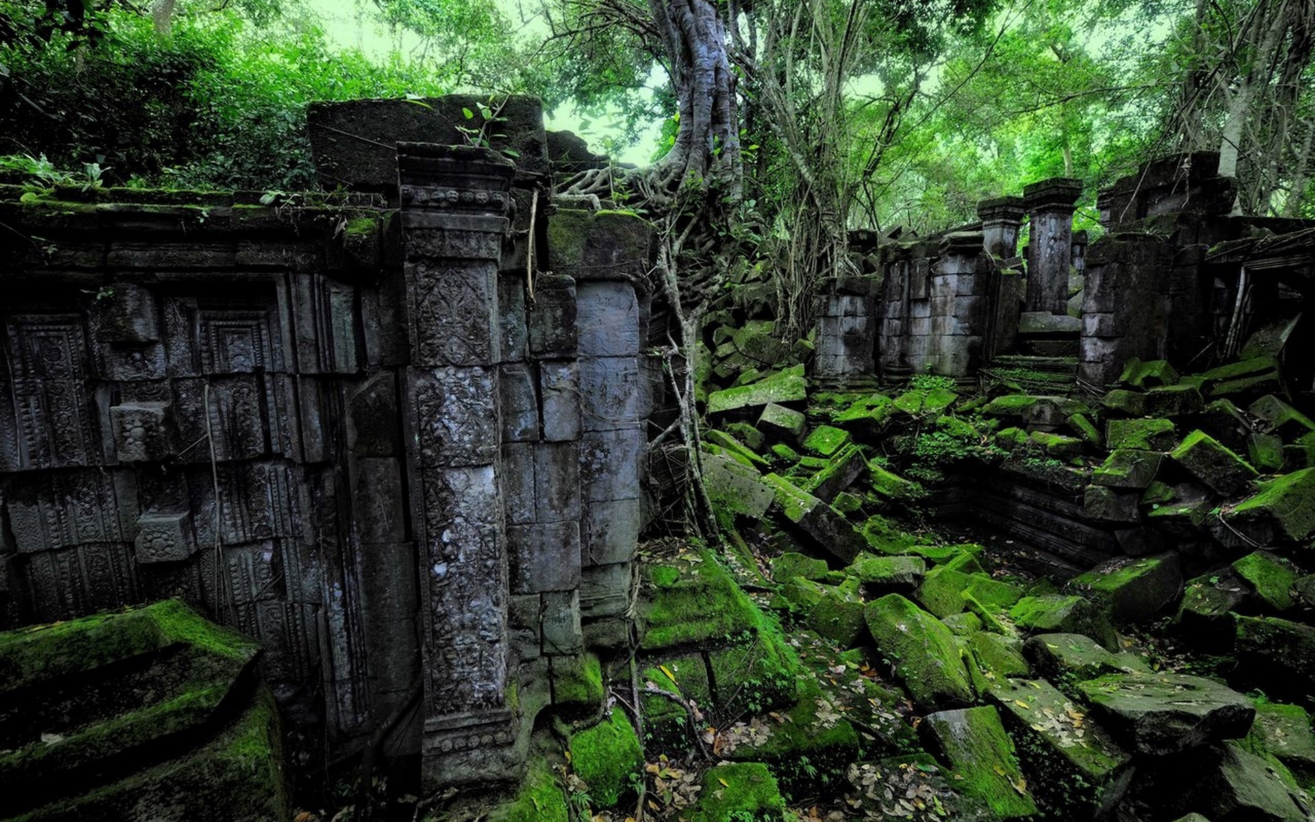 ruines fond d'écran,la nature,jungle,vert,forêt ancienne,forêt