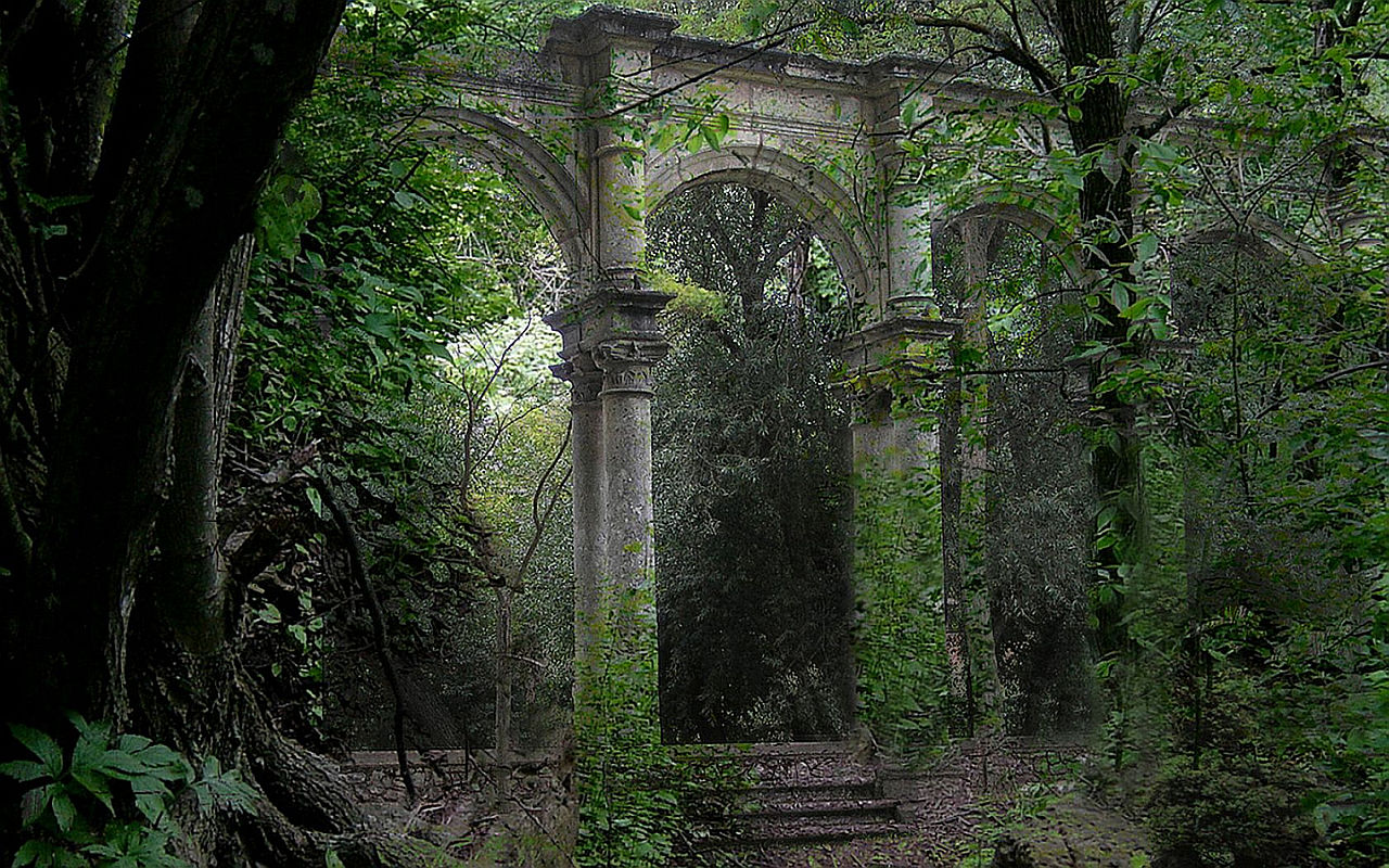 ruins wallpaper,forest,tree,nature,natural environment,vegetation