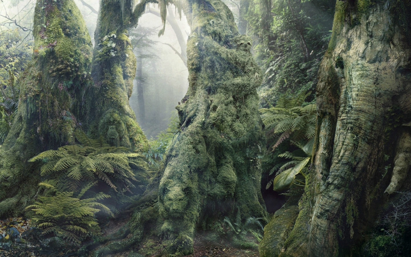 fondo de pantalla subliminal,bosque de crecimiento antiguo,naturaleza,árbol,bosque,paisaje natural