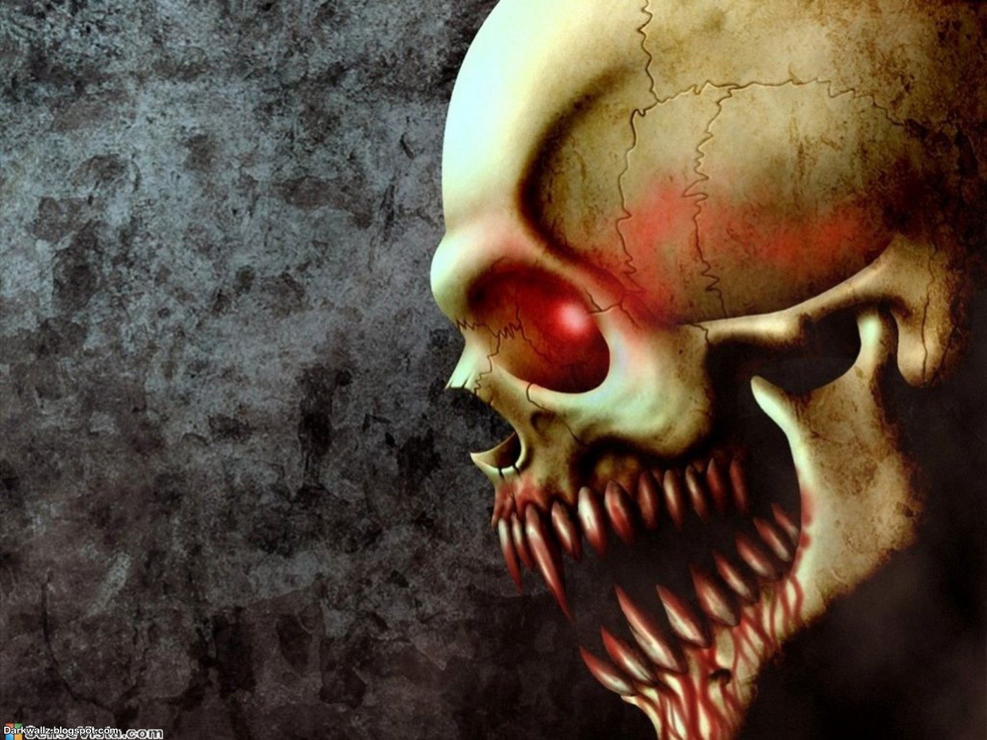 terrible wallpapers,nose,skull,head,jaw,bone