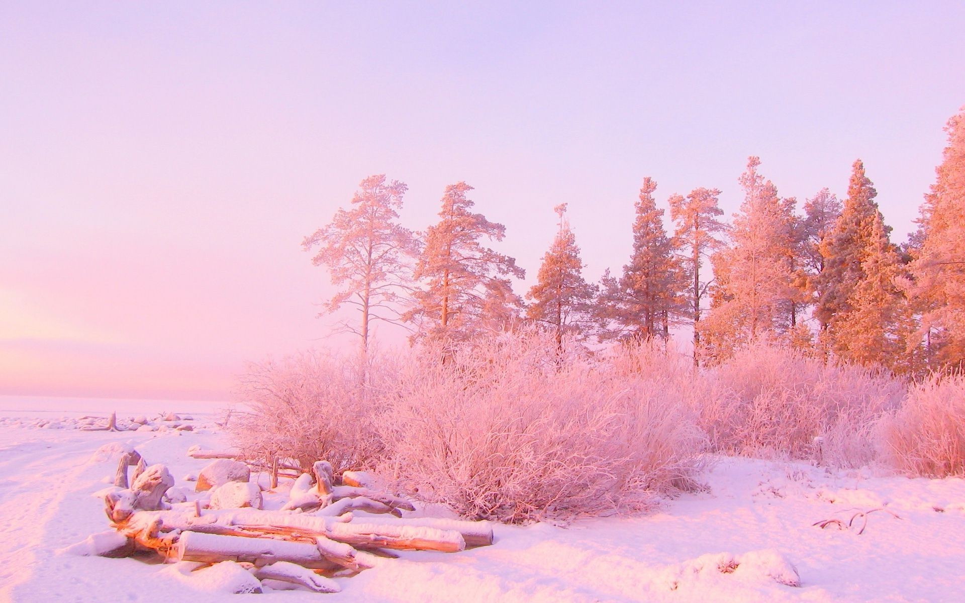fonds d'écran pc tumblr,hiver,ciel,rose,neige,paysage naturel