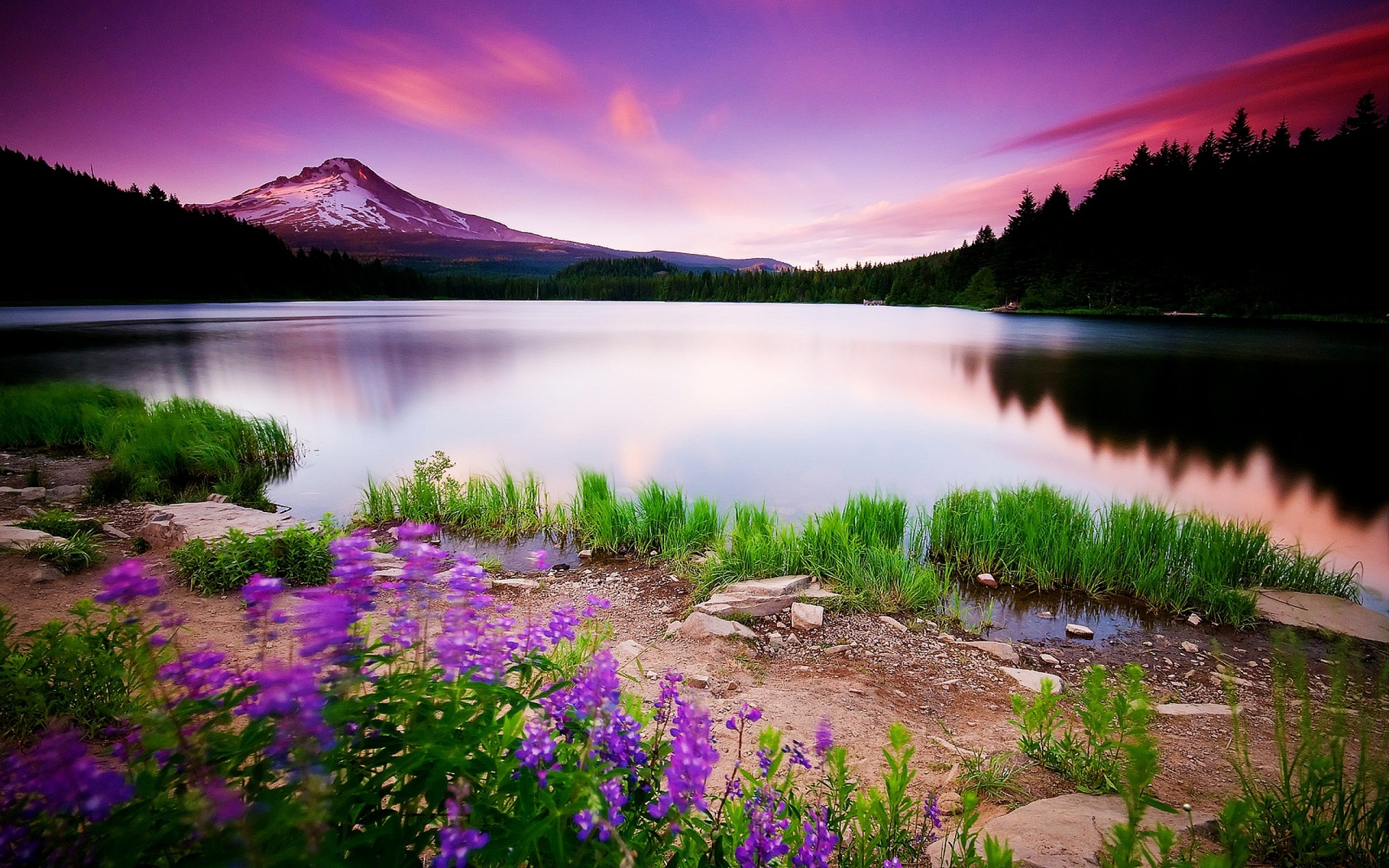 fondos de escritorio de paisaje de primavera,paisaje natural,naturaleza,reflexión,cielo,lago