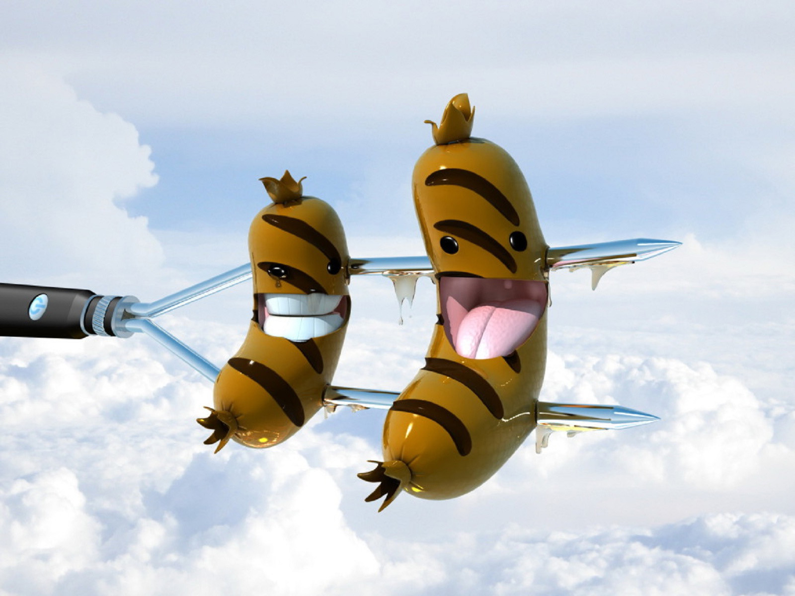 best funny wallpapers,membrane winged insect,pest,banana,plant,insect