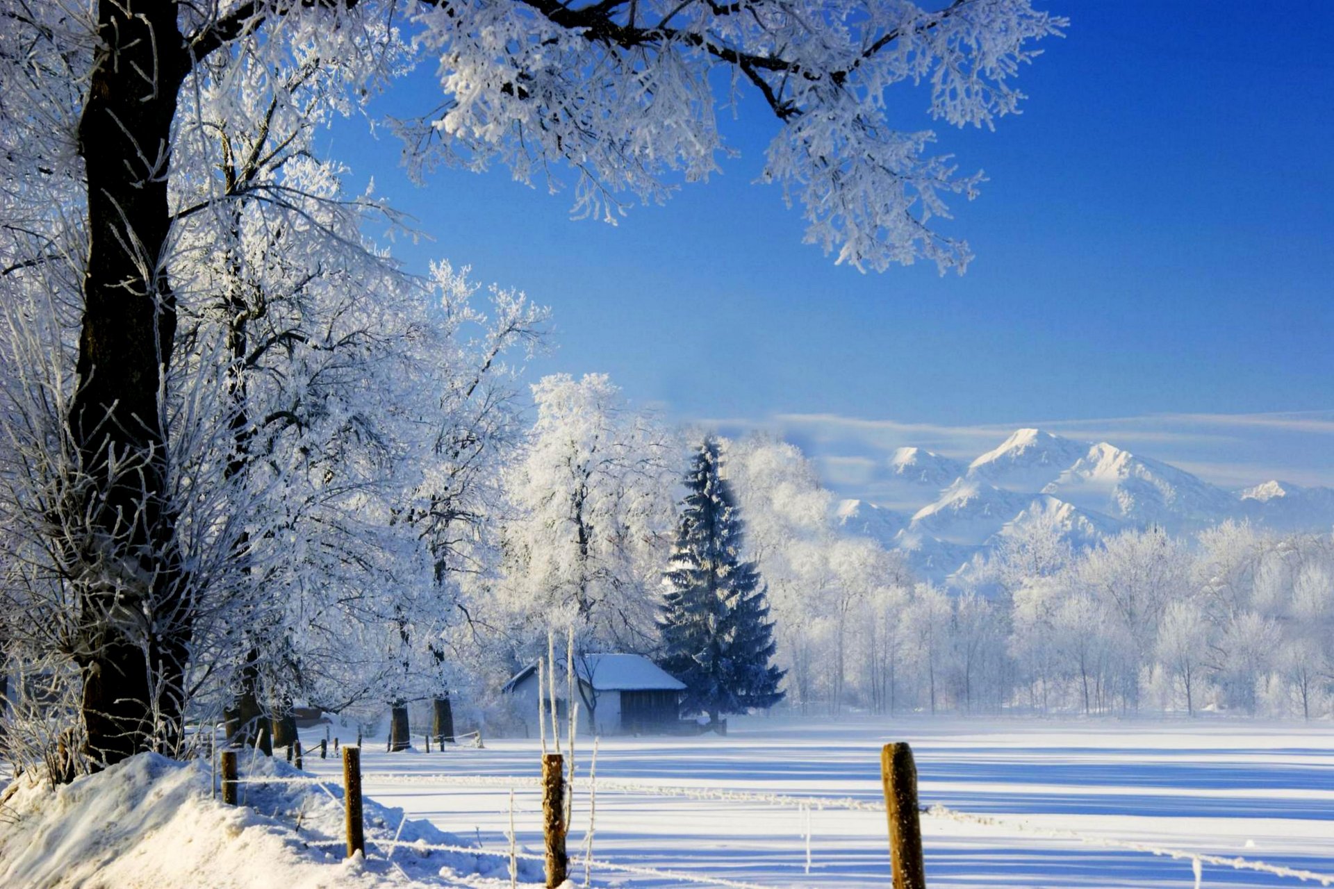 素敵な風景の壁紙,雪,冬,自然,自然の風景,木