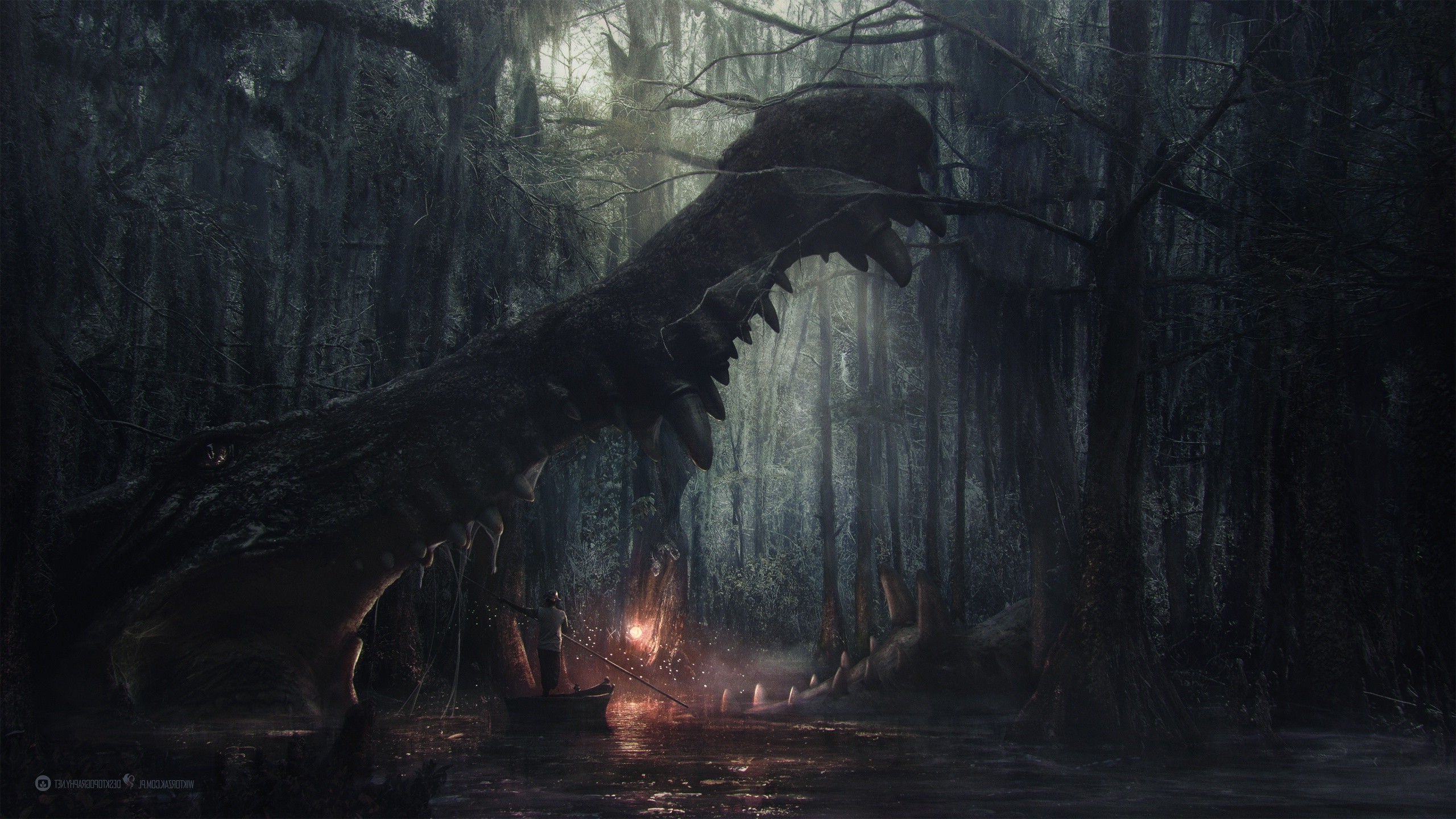 swamp wallpaper,nature,atmospheric phenomenon,darkness,tree,natural environment