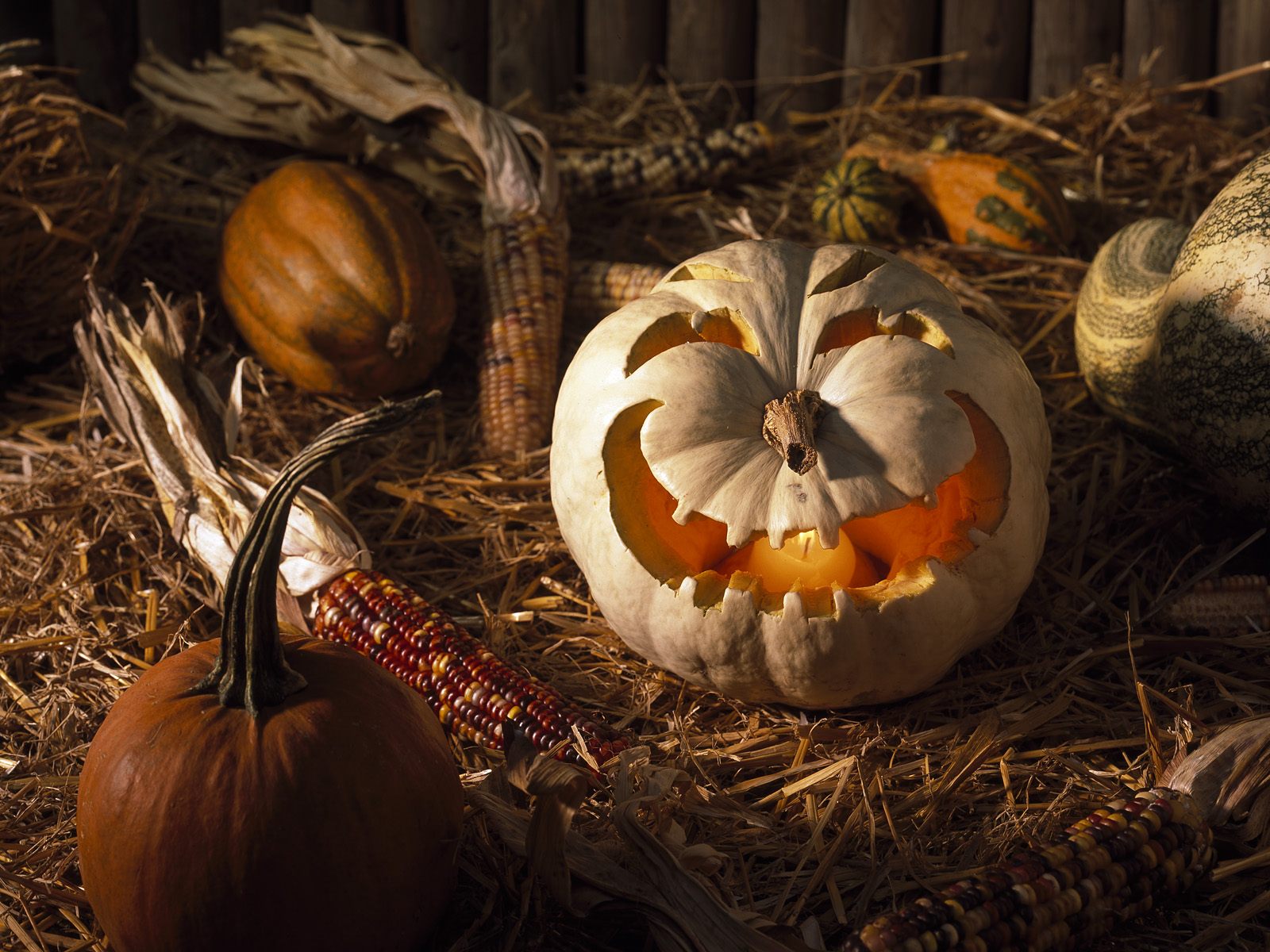 pumpkin wallpaper hd,winter squash,calabaza,pumpkin,gourd,vegetable