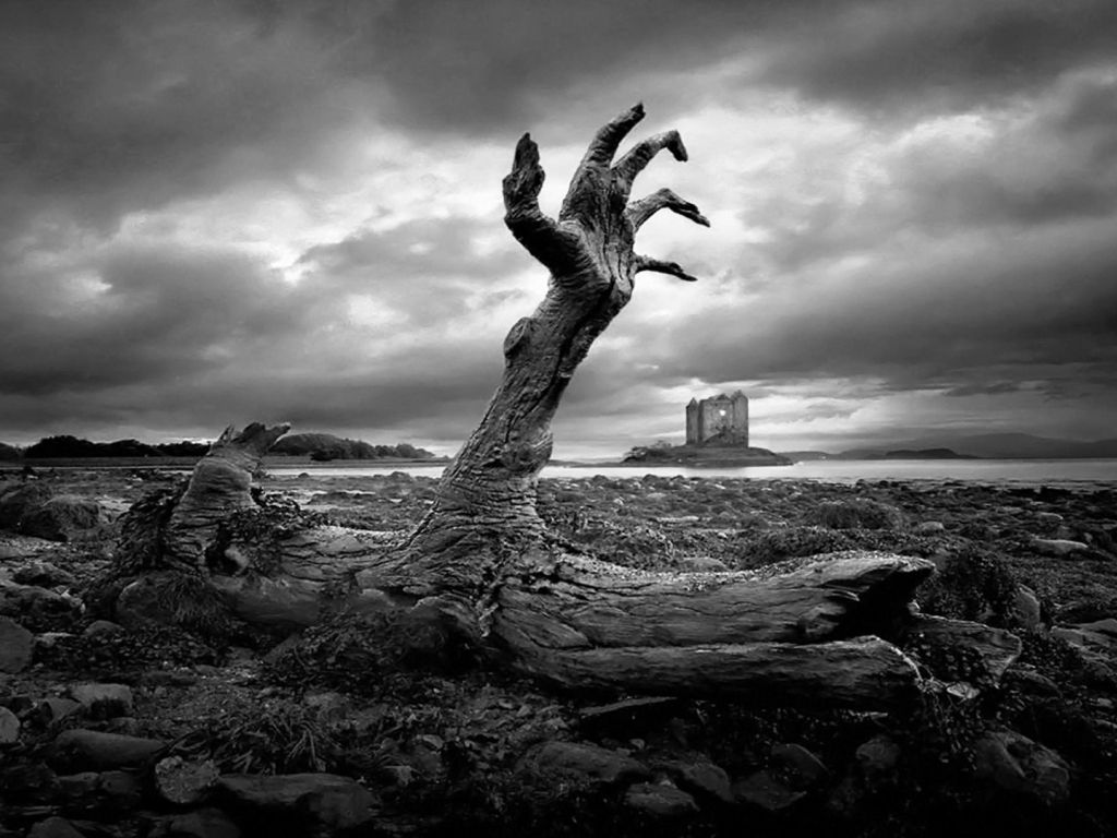 4k horror wallpaper,nature,sky,black,tree,black and white