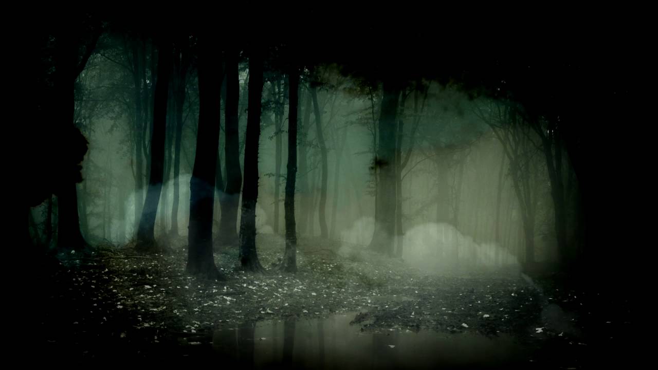 fond d'écran étrange,ténèbres,la nature,noir,atmosphère,forêt