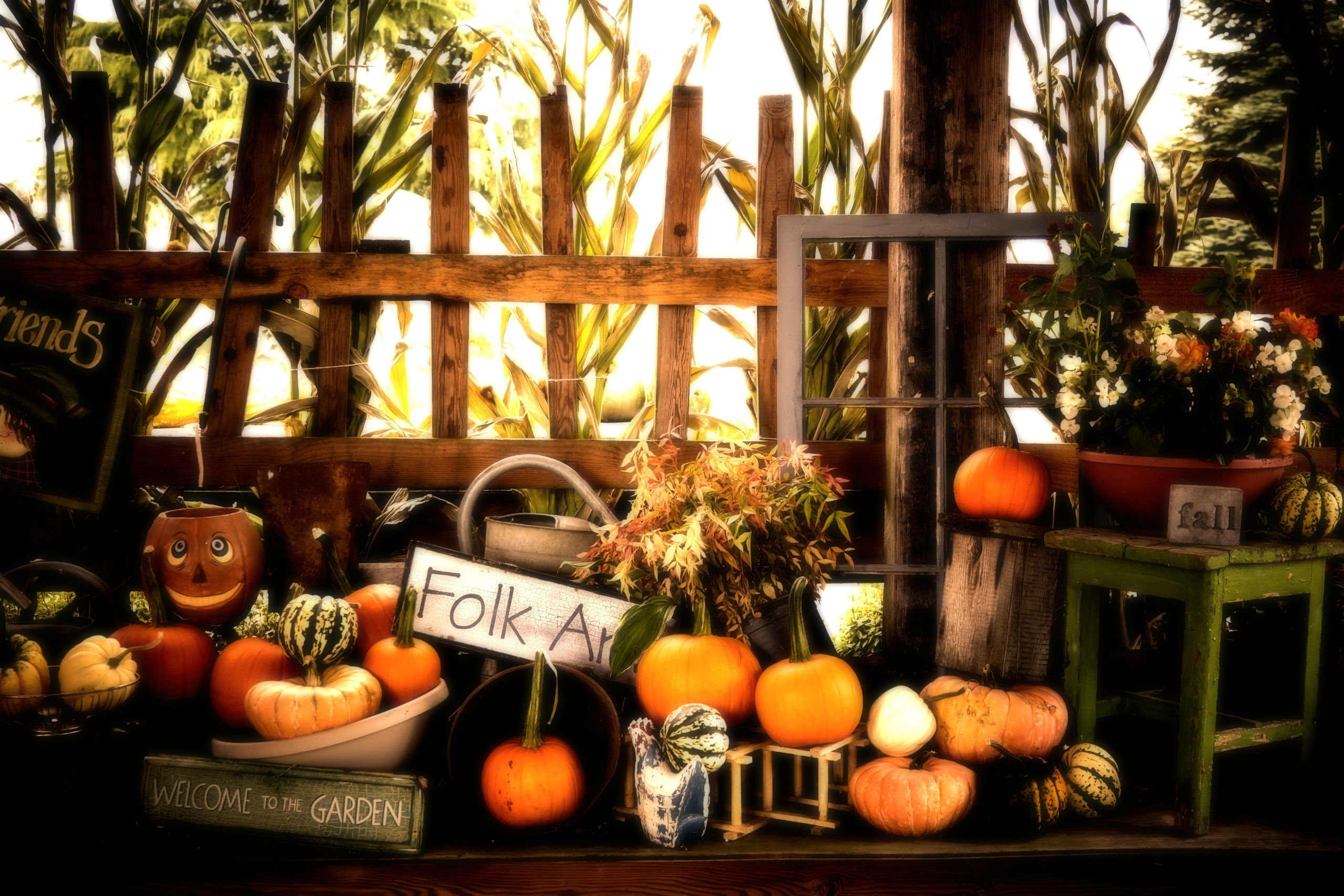 秋のハロウィーンの壁紙,かぼちゃ,オレンジ,工場,フルーツ,ベジタリアンフード