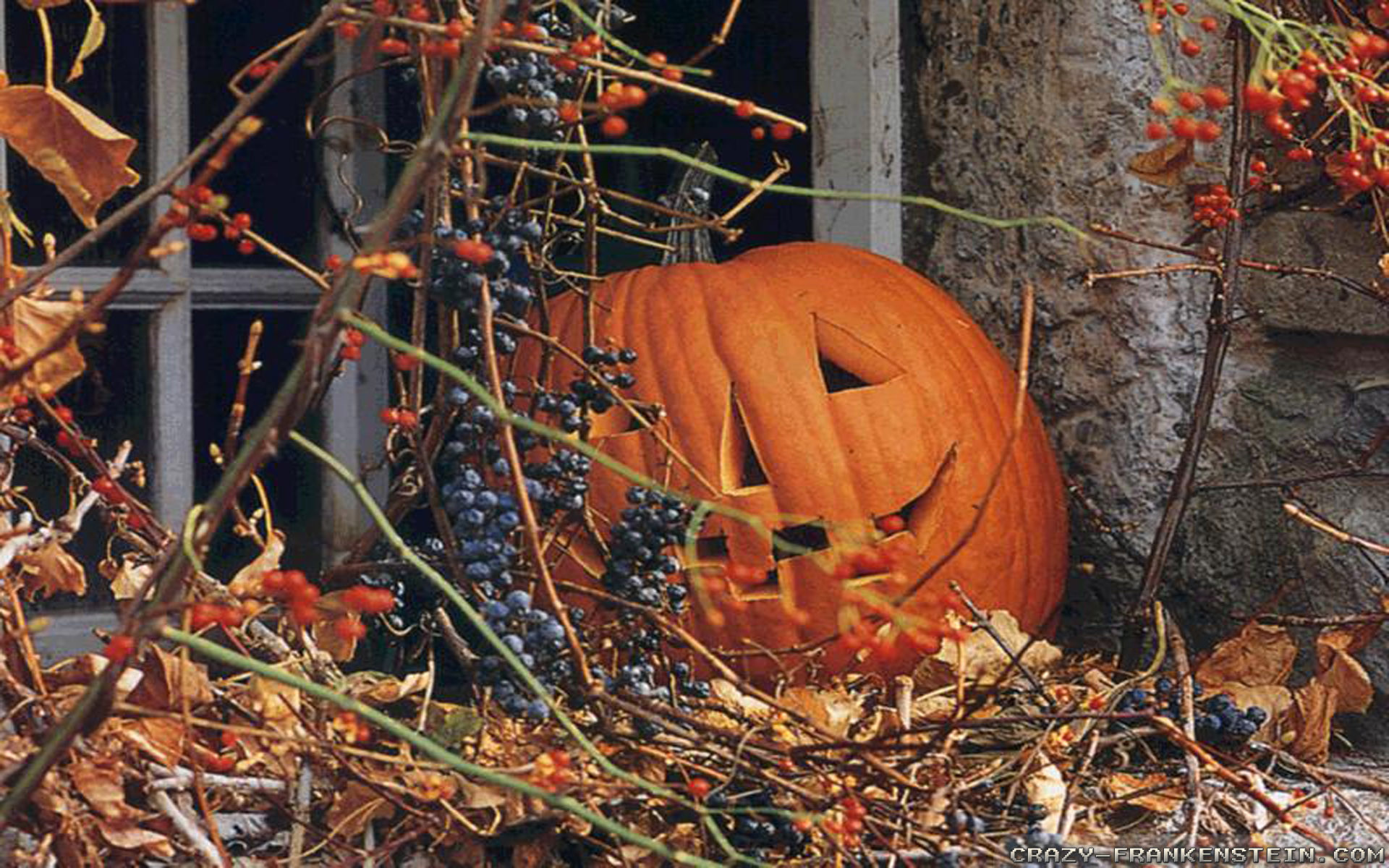 automne fond d'écran halloween,citrouille,courge d'hiver,gourde,calabaza,orange