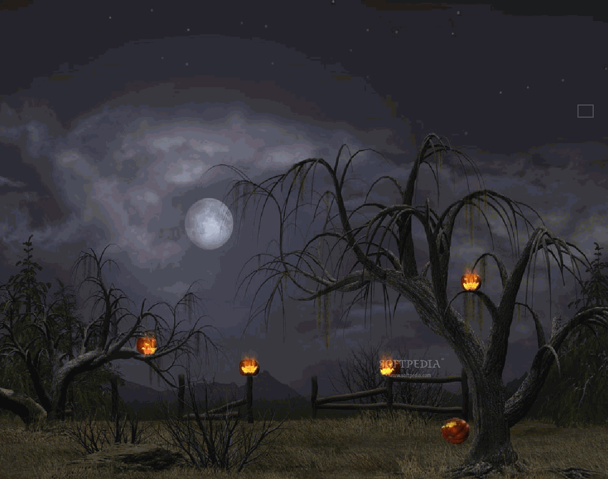 mejor fondo de pantalla de halloween,cielo,naturaleza,noche,ligero,atmósfera