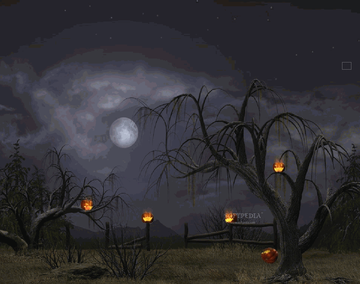 best halloween wallpaper,sky,nature,atmospheric phenomenon,night,light