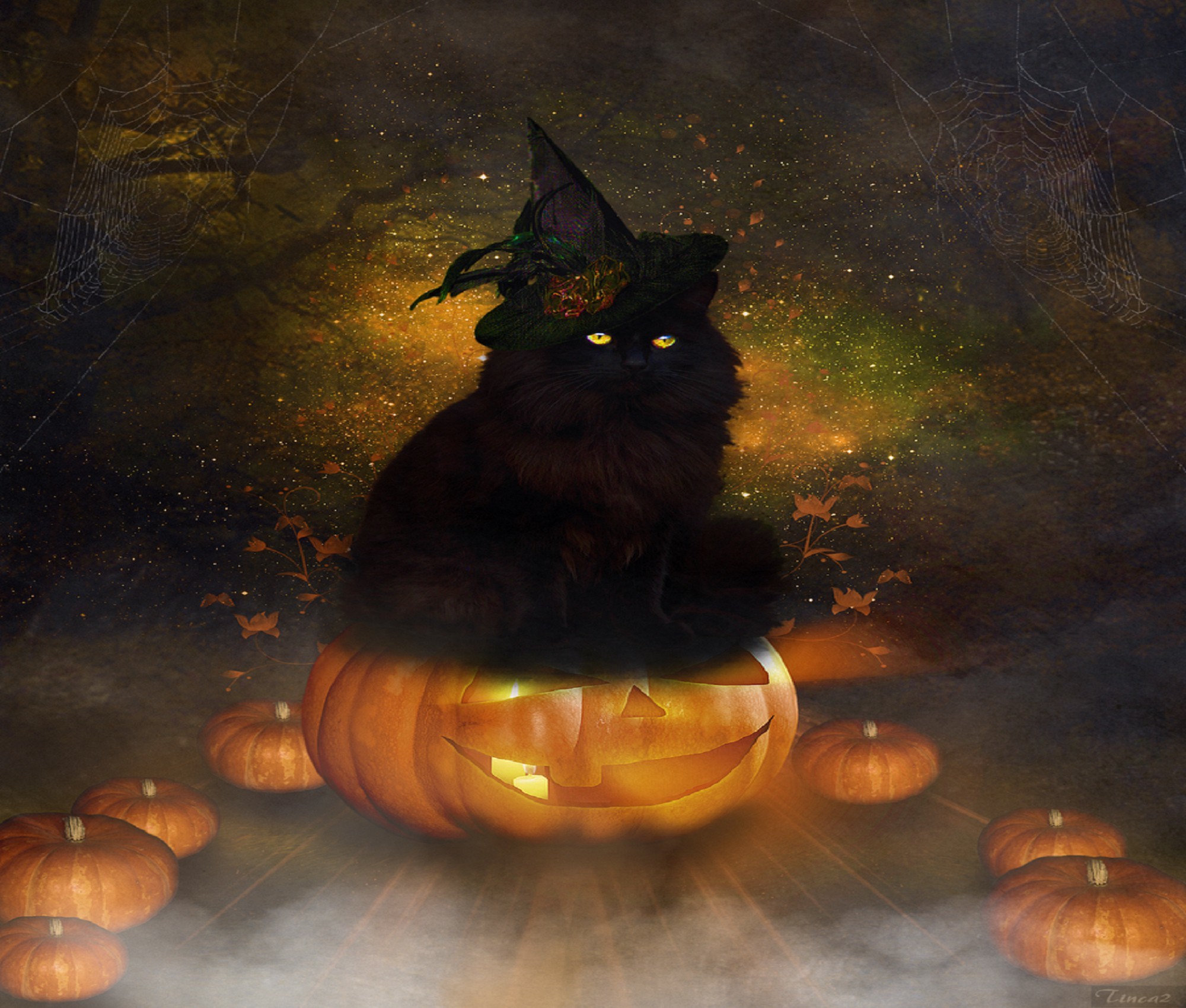 gato de halloween fondo de pantalla,gato,gato negro,gatos pequeños a medianos,felidae,bigotes