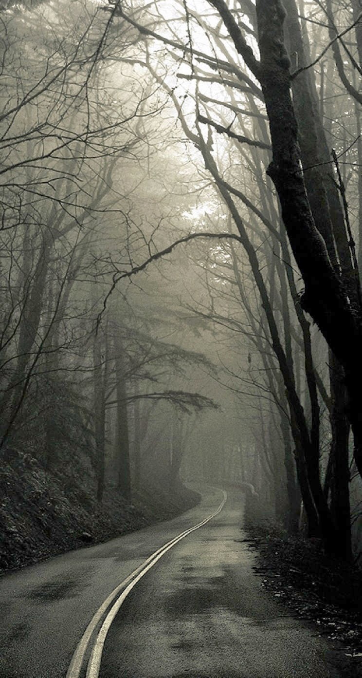 fondo de pantalla de iphone espeluznante,naturaleza,paisaje natural,árbol,niebla,la carretera