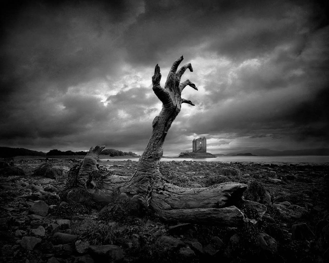 horror wallpapers for desktop,sky,nature,black,monochrome photography,black and white