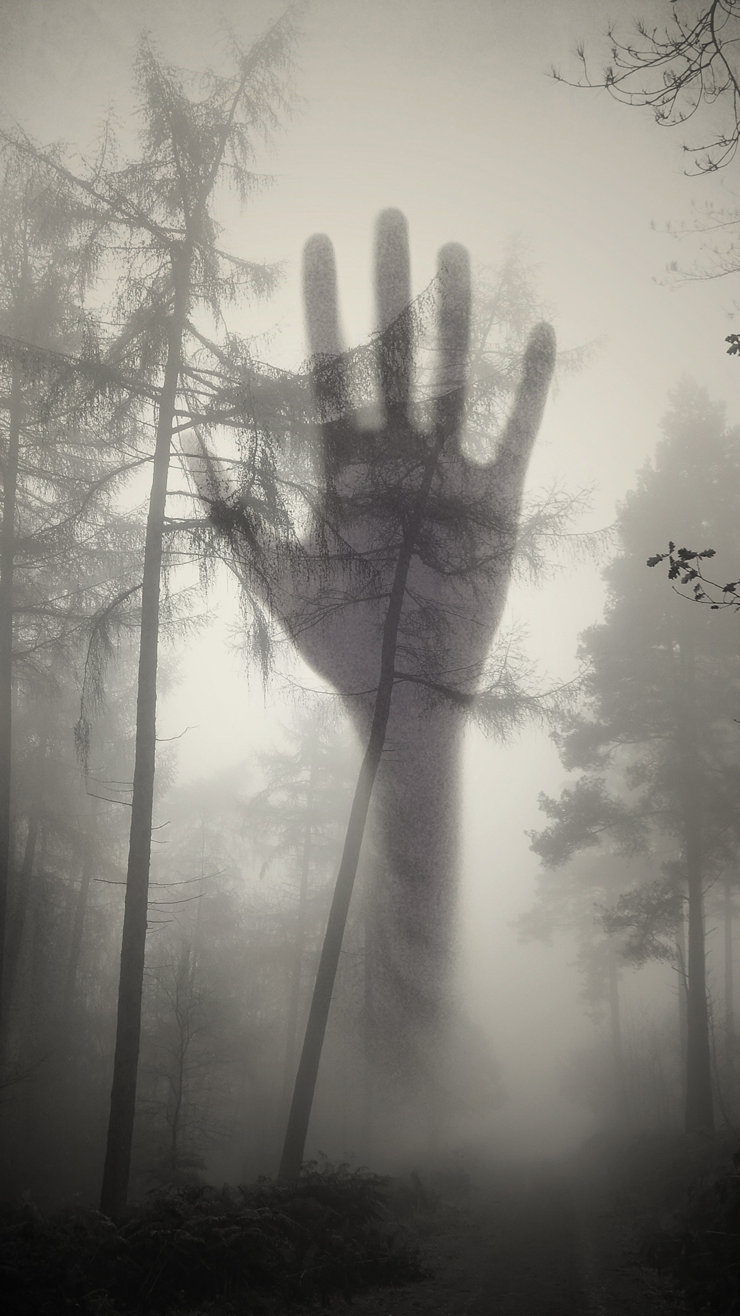 scary phone wallpapers,atmospheric phenomenon,tree,mist,black and white,hand