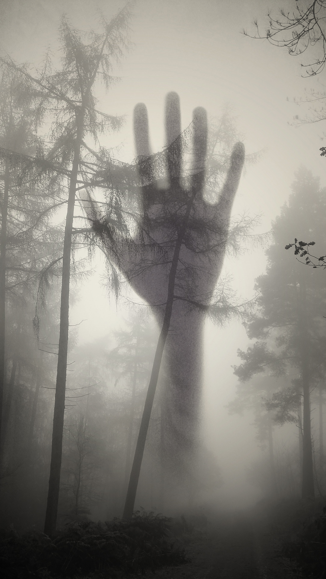 gruselige handy hintergründe,baum,nebel,schwarz und weiß,hand,nebel