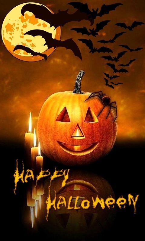 halloween wallpaper for android,trick or treat,jack o' lantern,calabaza,orange,pumpkin