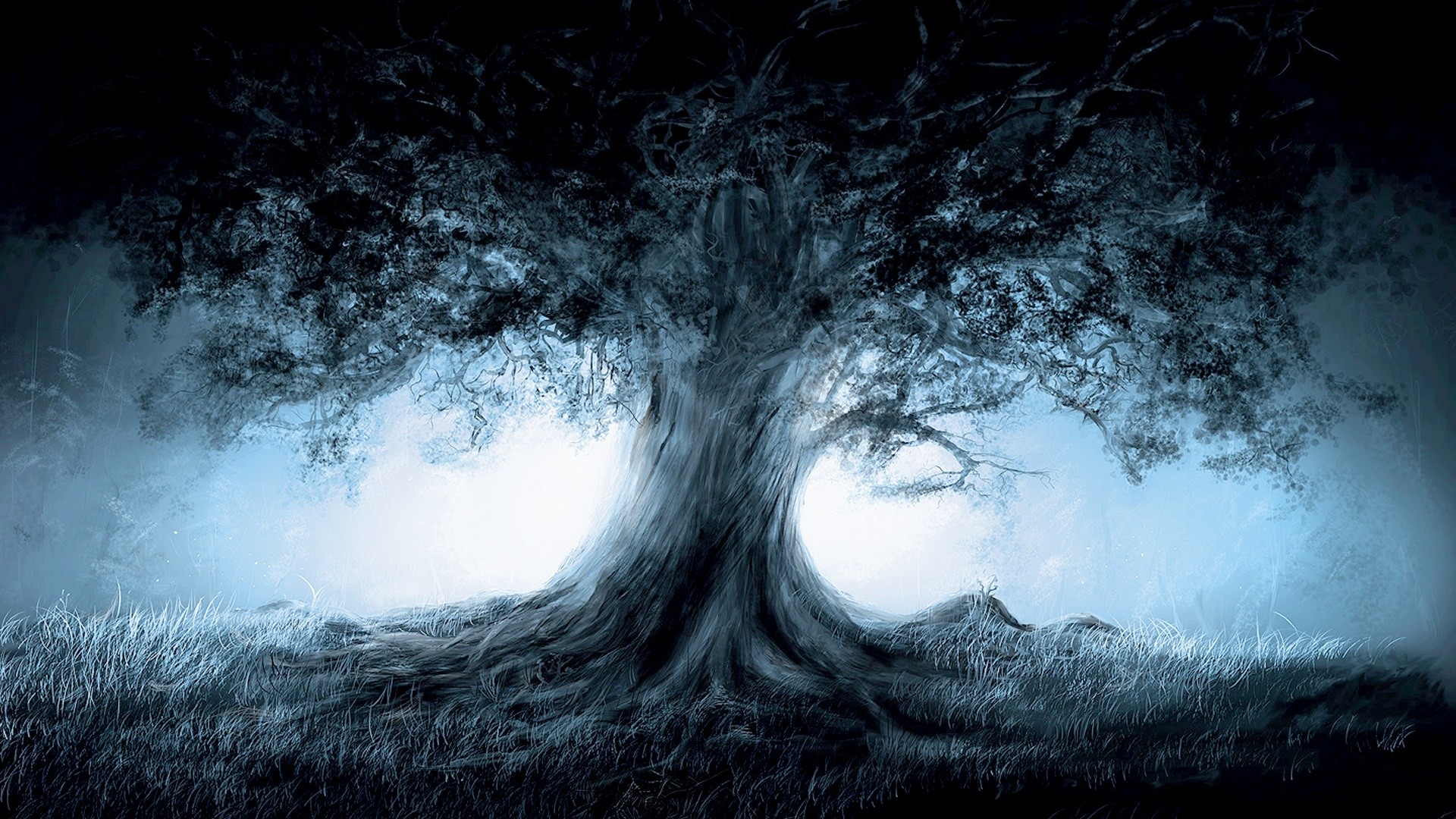 ghost wallpaper download,nature,atmospheric phenomenon,tree,darkness,atmosphere