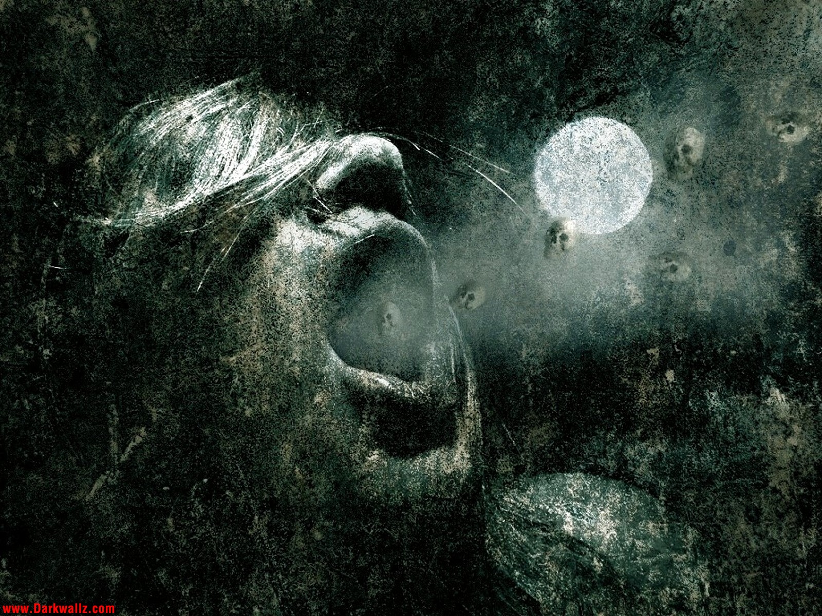 dark horror wallpaper,organism,human,moon,art,photography