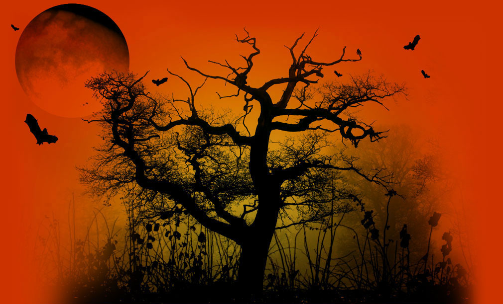 fond d'écran thème halloween,ciel,la nature,arbre,rouge,orange