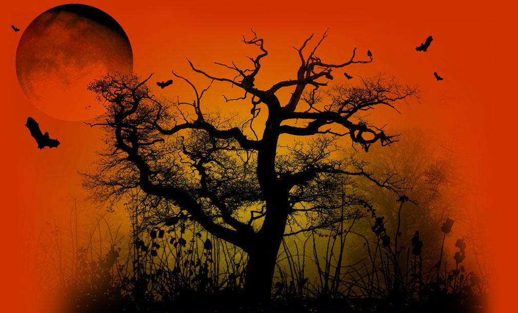 halloween thema tapete,himmel,natur,baum,rot,orange