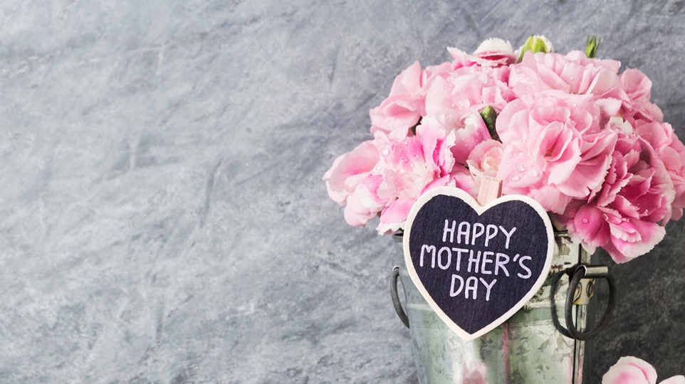 mothers wallpaper free download,pink,flower,cut flowers,petal,plant