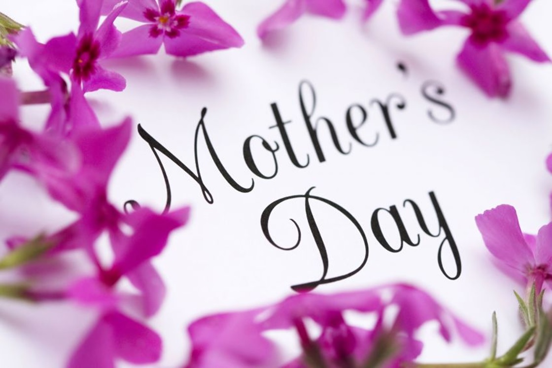mothers wallpaper free download,text,font,purple,violet,pink