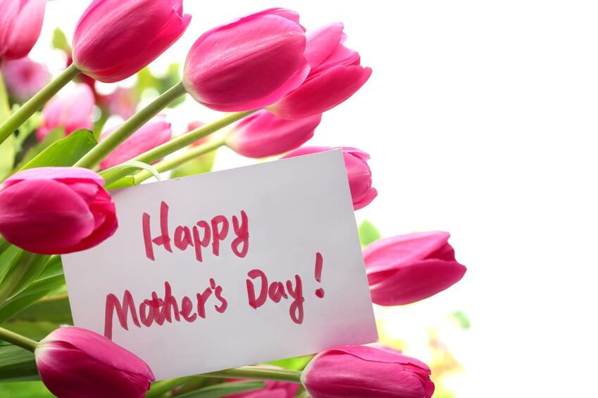 mothers wallpaper free download,pink,flower,petal,tulip,text