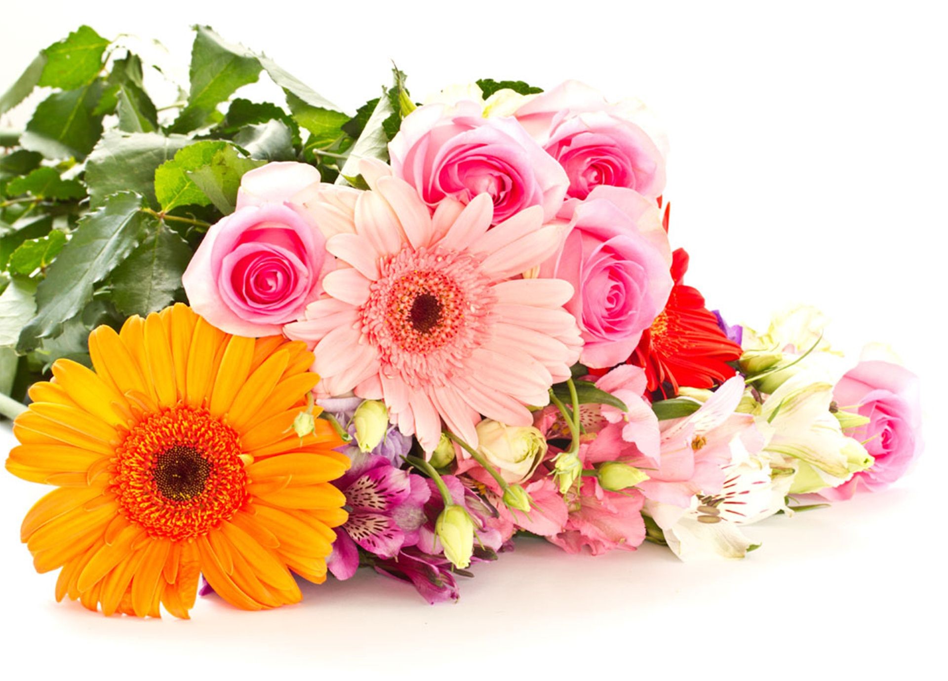 mothers wallpaper free download,flower,flowering plant,bouquet,cut flowers,gerbera