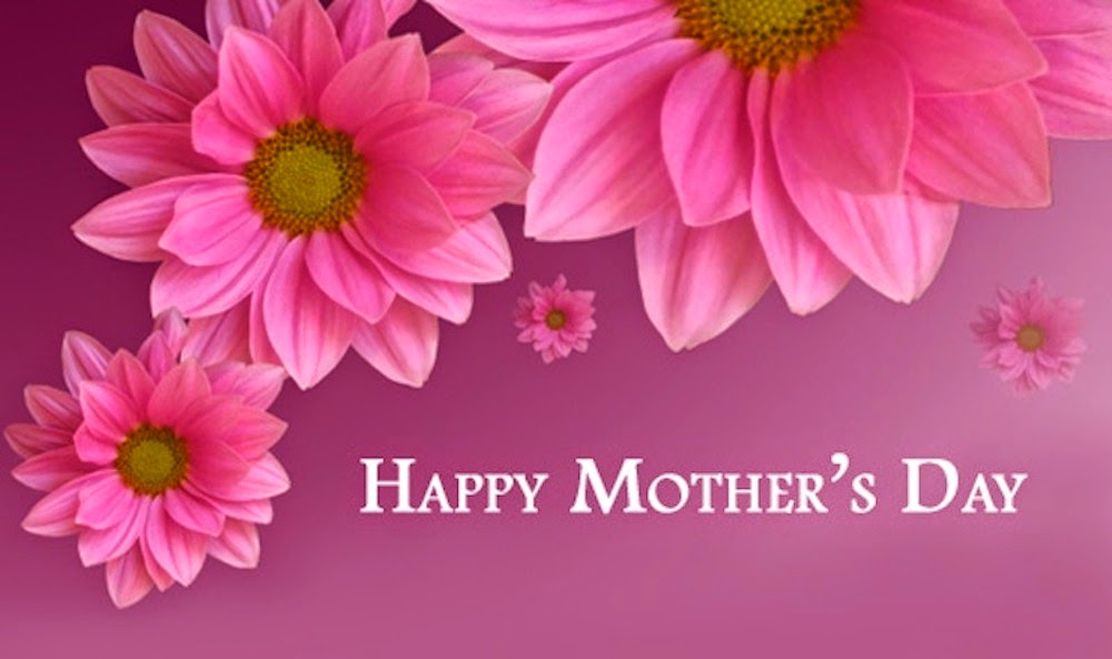 어머니 벽지 무료 다운로드,꽃잎,꽃,분홍,본문,이발사 데이지