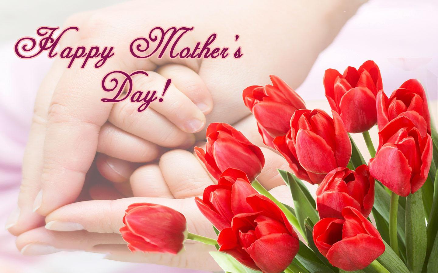 mothers wallpaper free download,tulip,petal,nail,flower,pink
