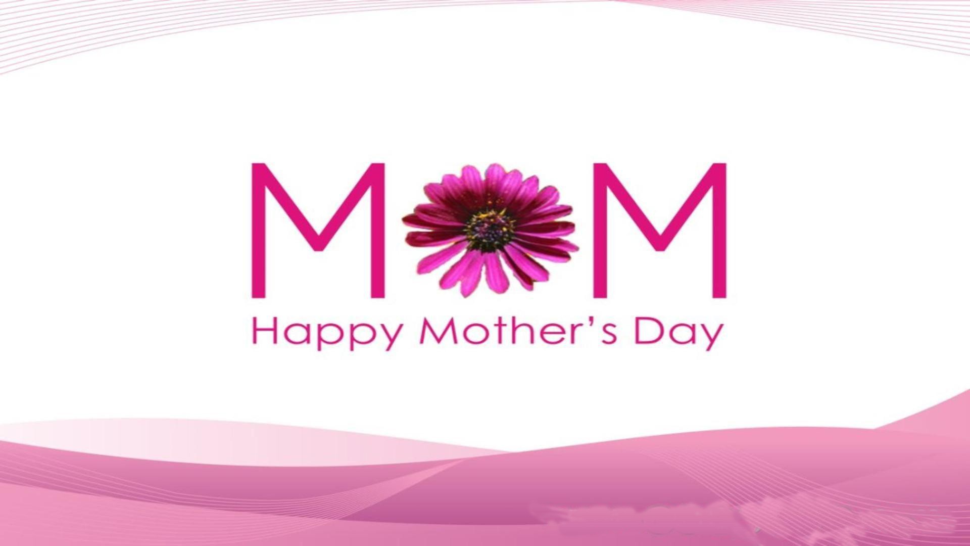 mothers wallpaper free download,text,pink,font,logo,magenta