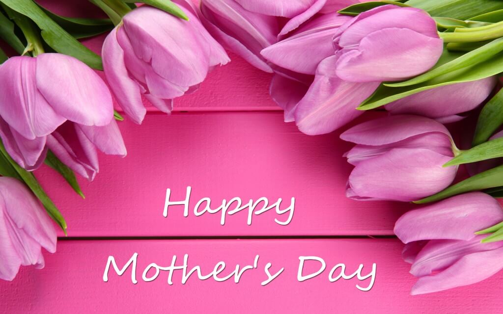 happy mothers day hd wallpaper,pink,petal,text,flower,tulip