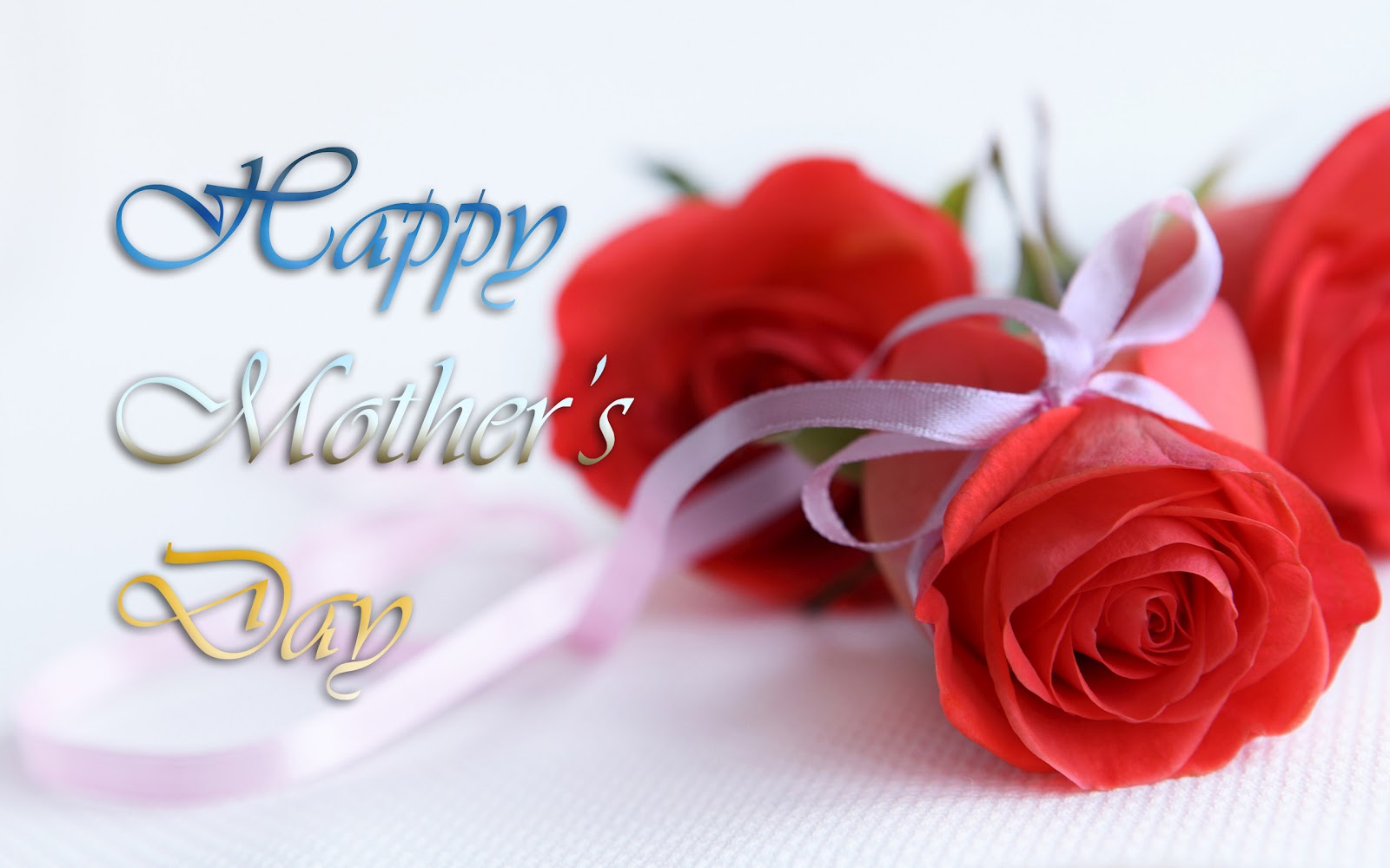 felice festa della mamma hd wallpaper,rosso,testo,rosa,rose da giardino,fiore