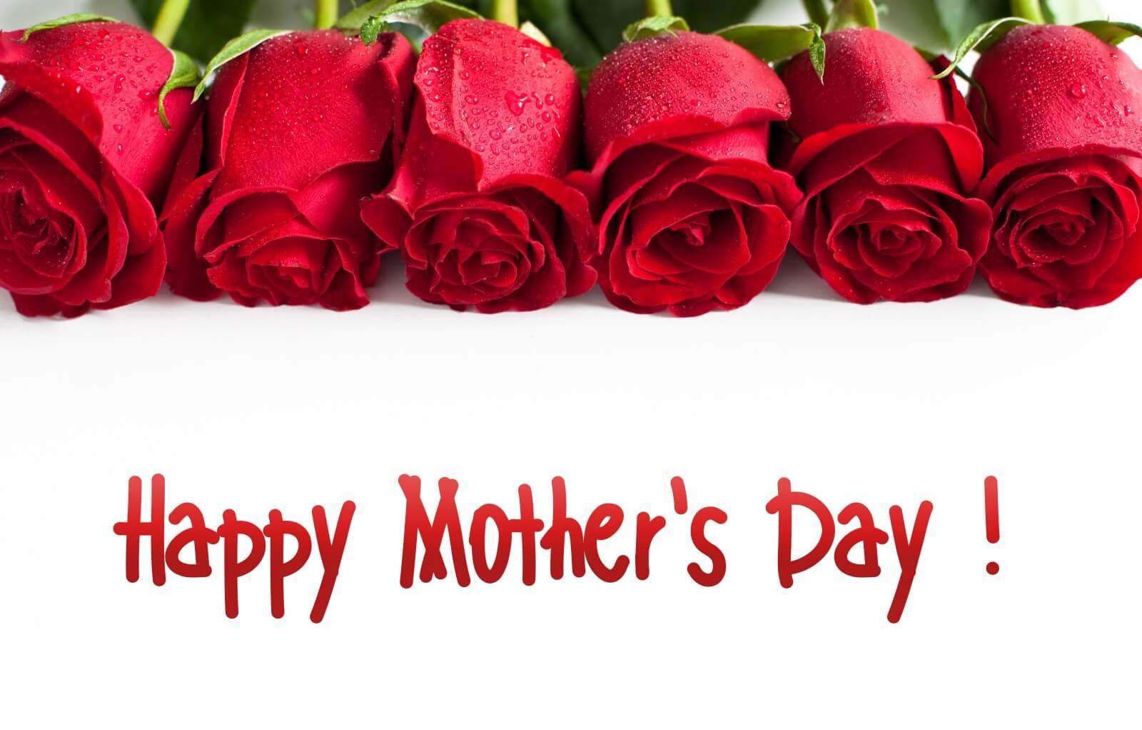 happy mothers day hd wallpaper,garden roses,red,rose,cut flowers,flower