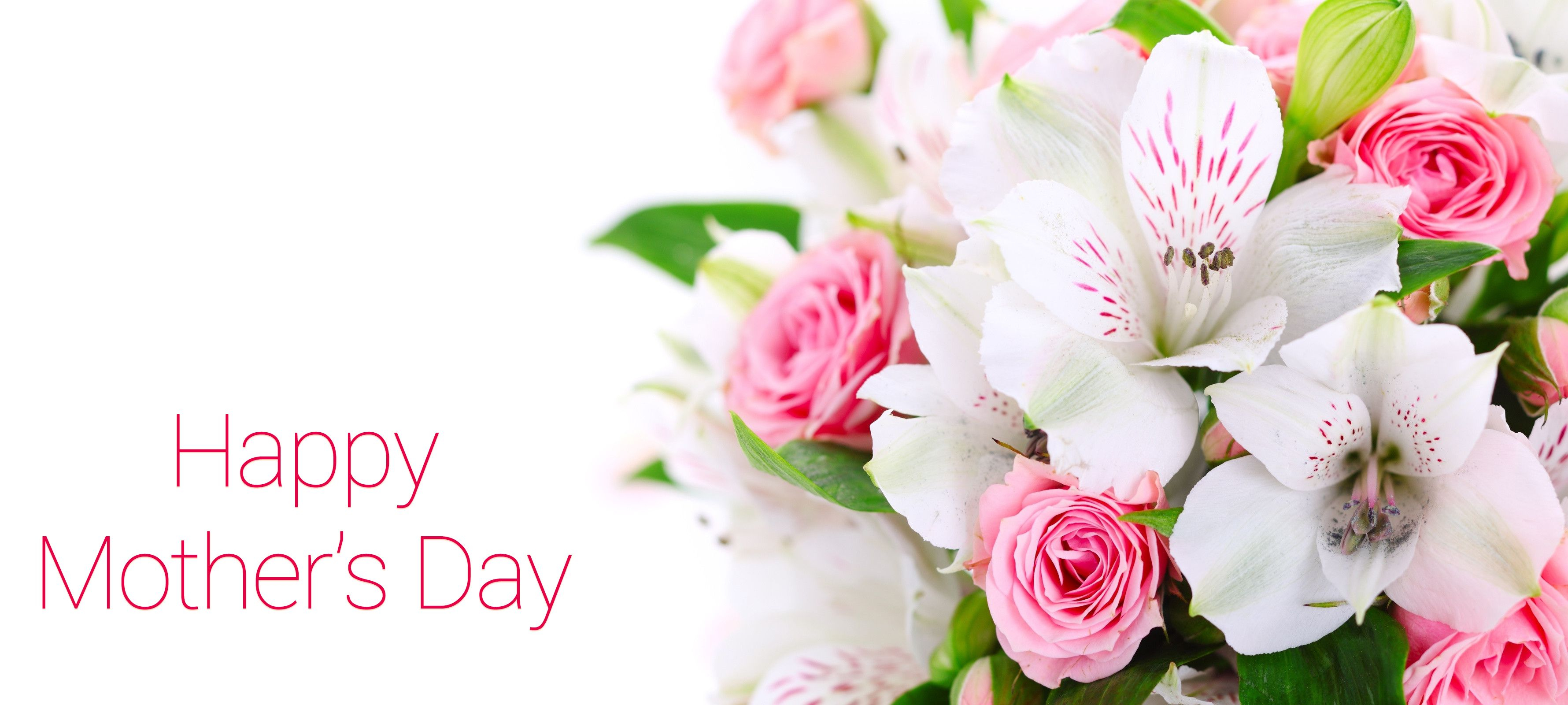 happy mothers day hd wallpaper,flower,pink,cut flowers,petal,plant