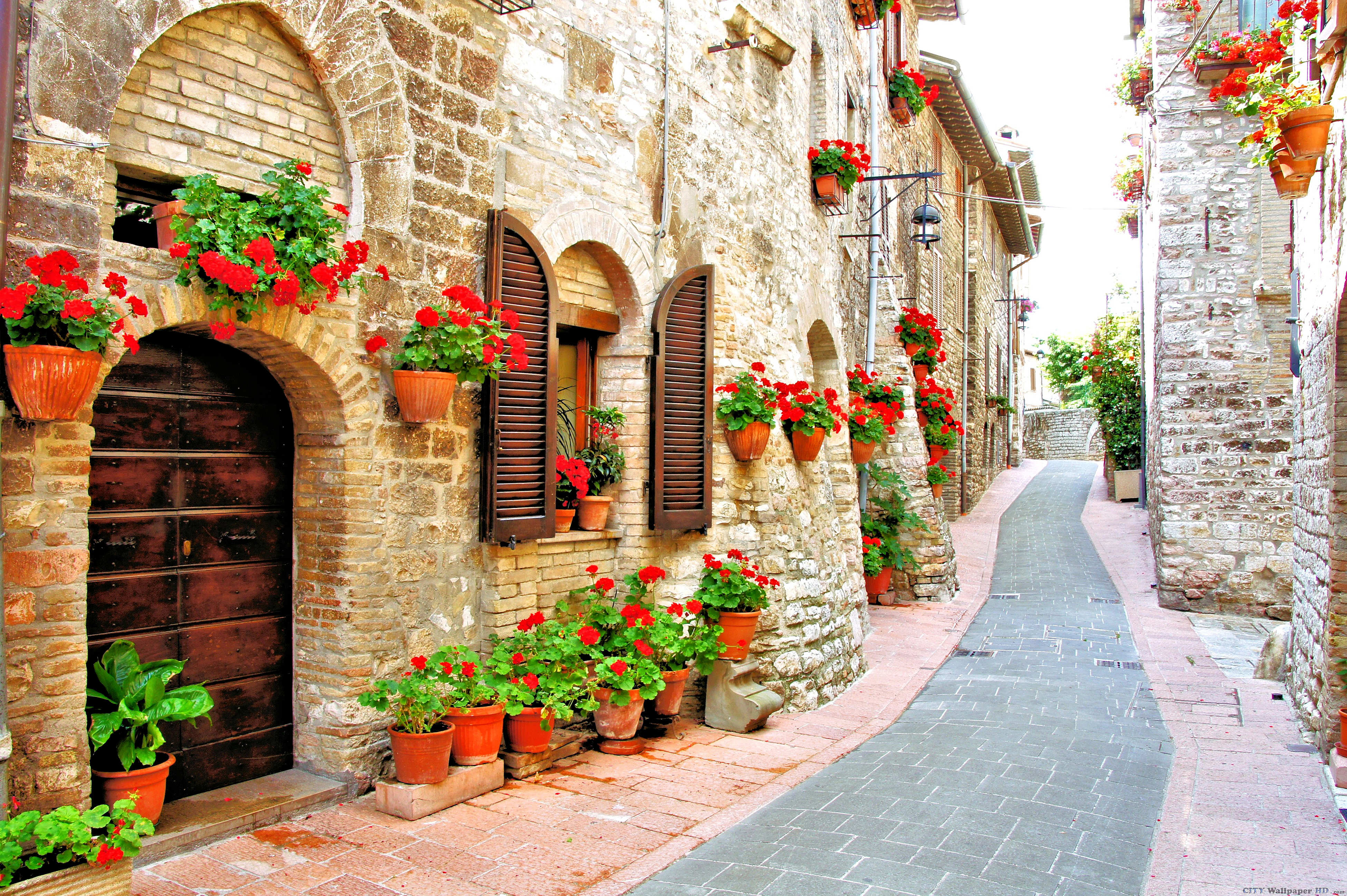 벽지 이탈리아,꽃,골목,식물,건물,아치