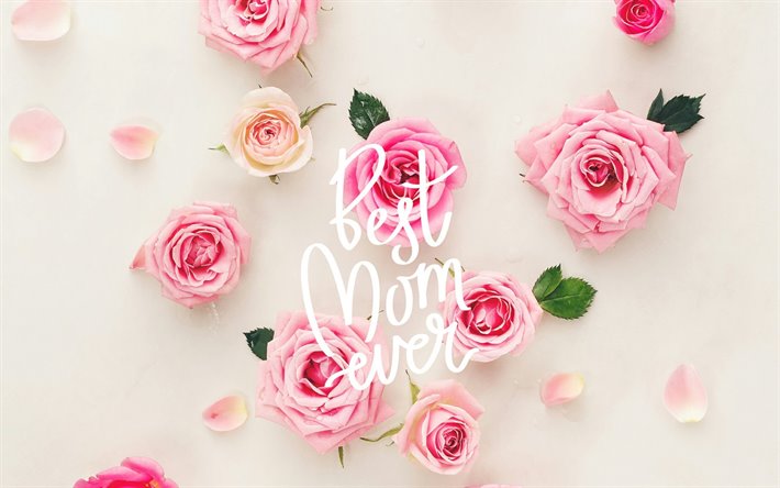 최고의 엄마 벽지,분홍,정원 장미,장미,꽃,장미 가족
