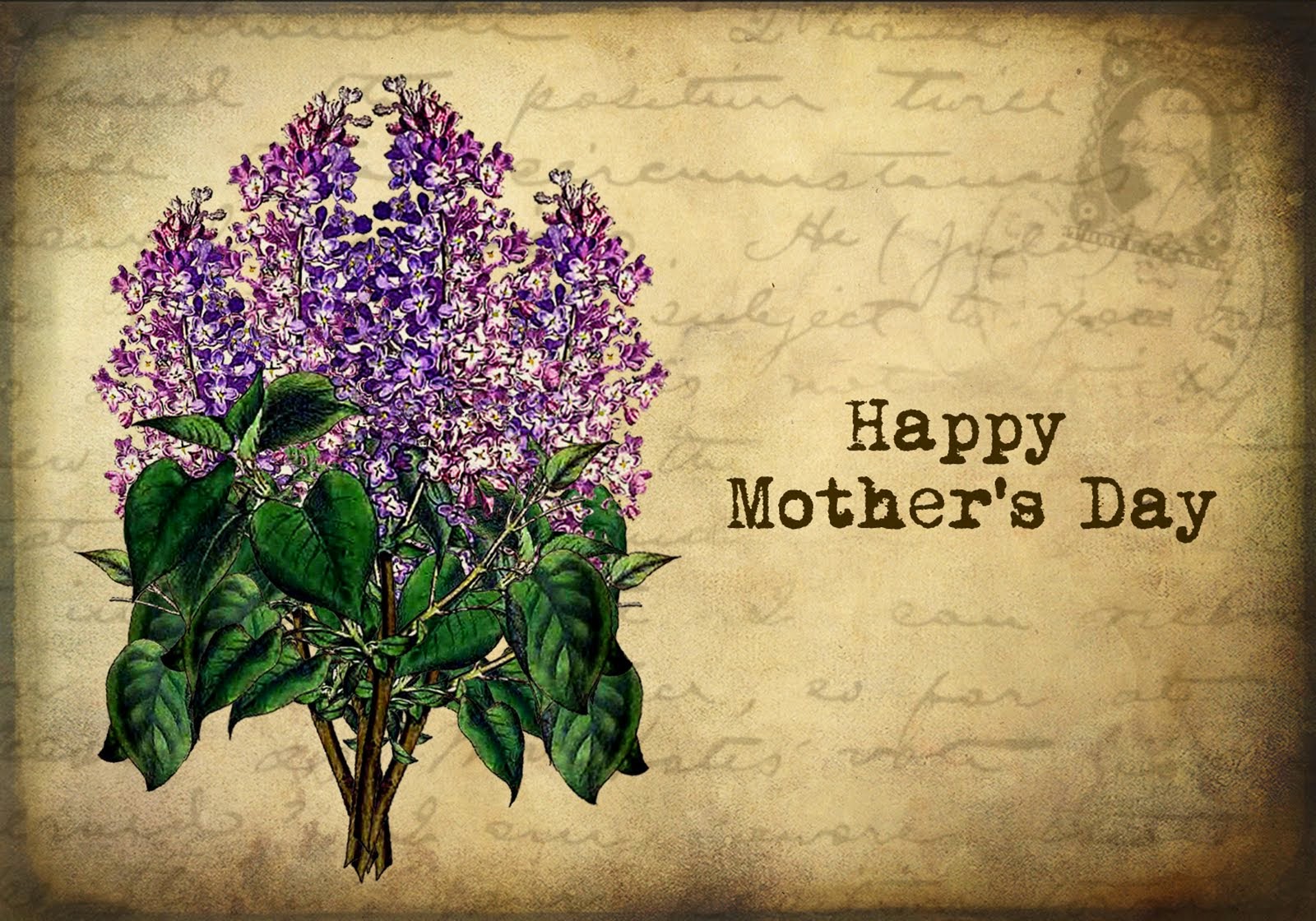 free mothers day wallpaper,flower,purple,plant,lilac,botany