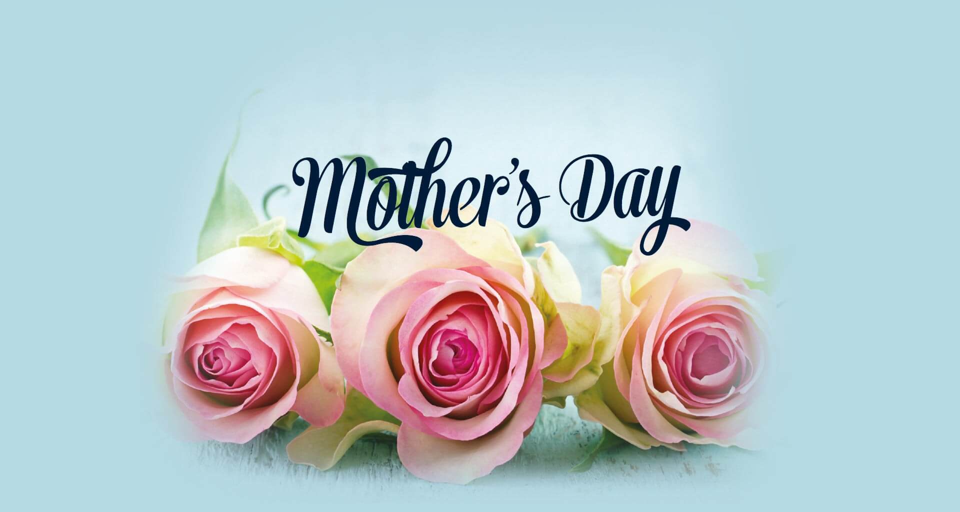 free mothers day wallpaper,pink,rose,flower,text,font