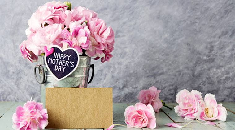 fondo de pantalla especial del día de la madre,rosado,flor,cortar flores,rosas de jardín,pétalo