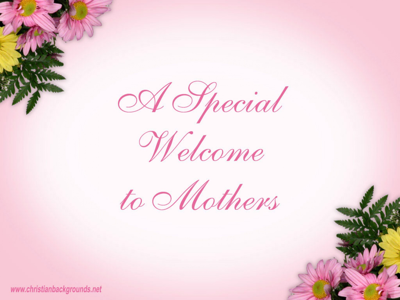 mother's day special wallpaper,pink,text,font,flower,petal