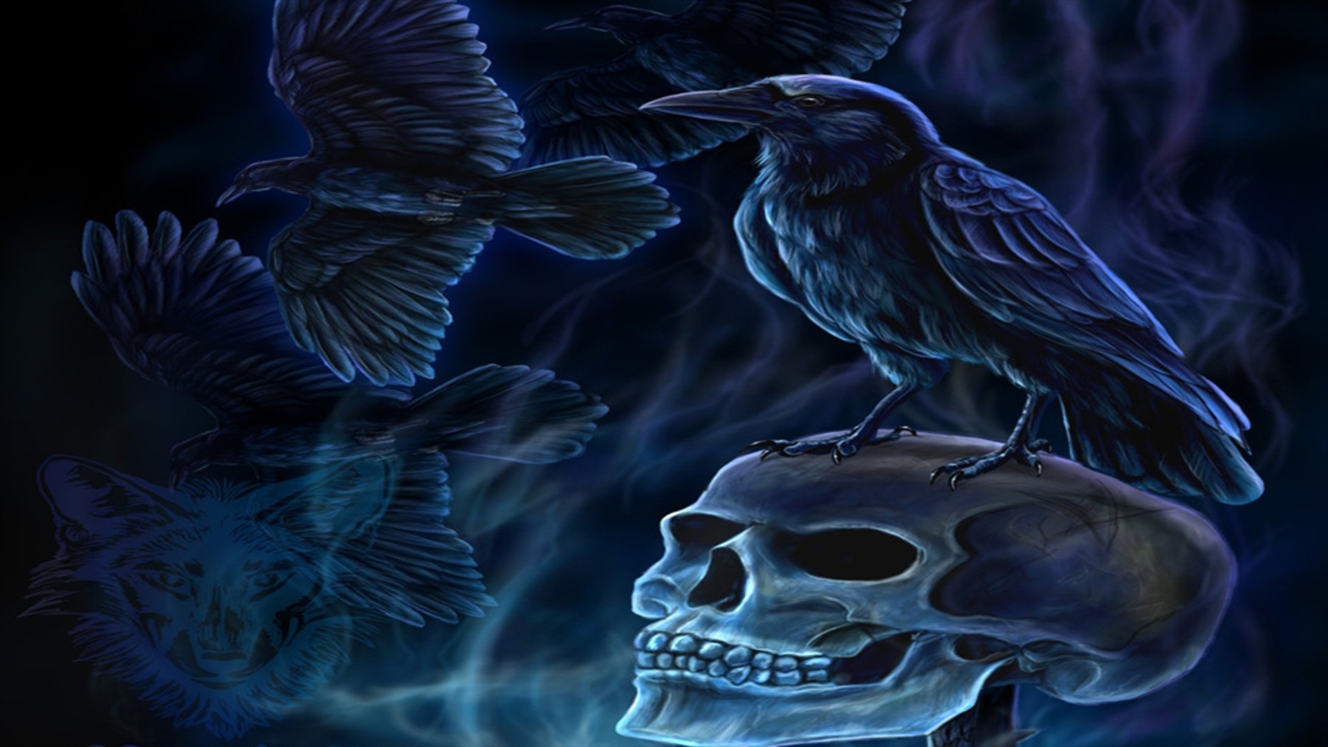 skull wallpaper 1920x1080,raven,raven,crow,bird,skull