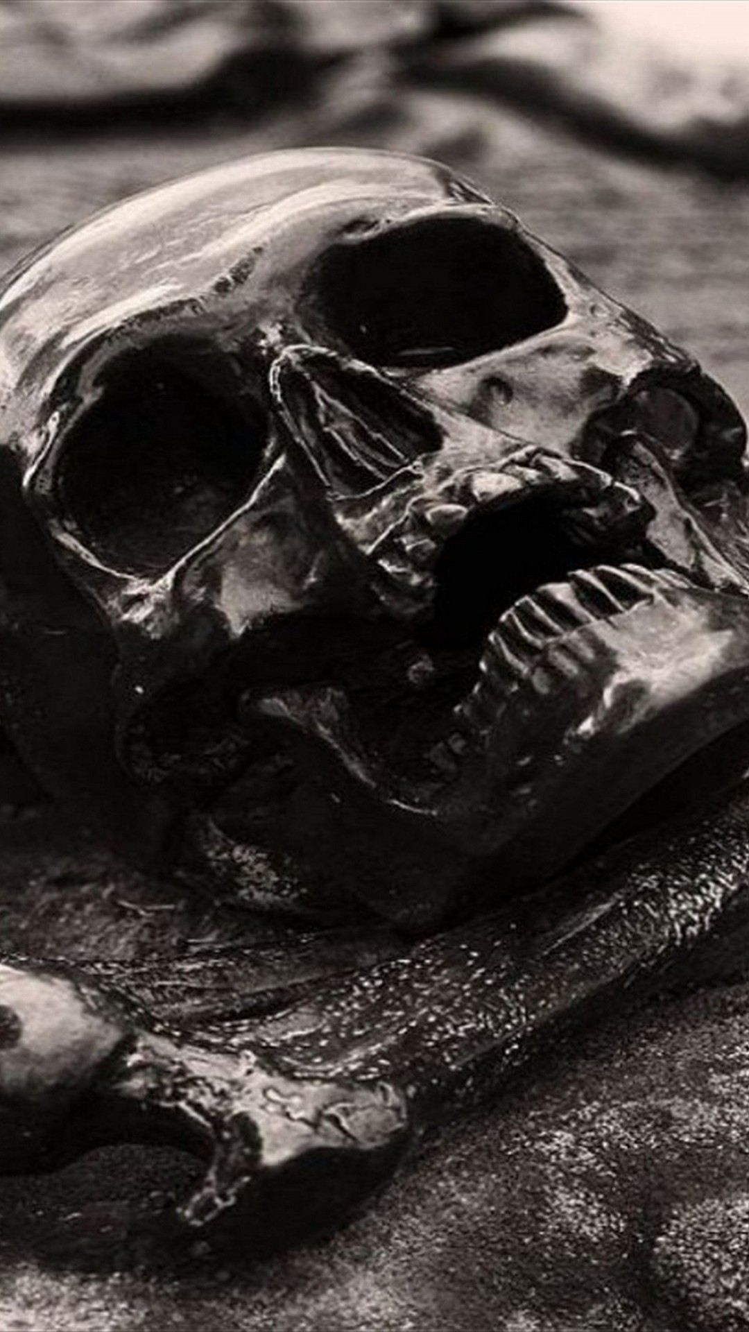 cranio sfondo full hd,bianco e nero,cranio,fotografia,monocromatico,fotografia in bianco e nero