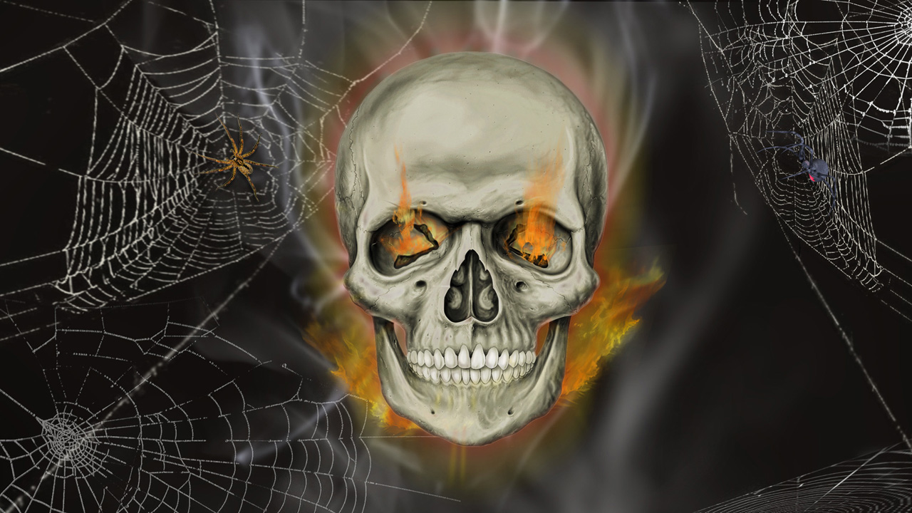 fondo de pantalla de calavera animada,cráneo,hueso,cabeza,esqueleto,mandíbula