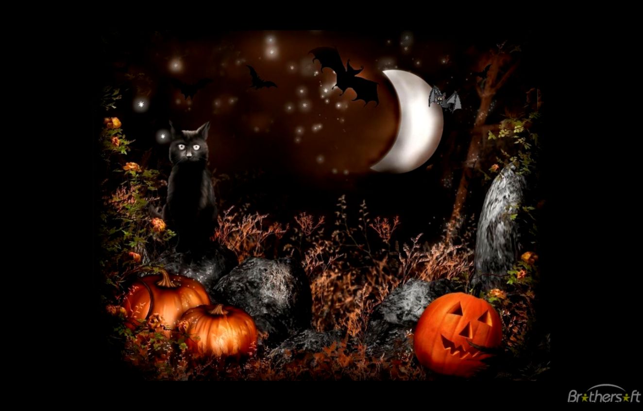 animated halloween wallpaper,trick or treat,still life photography,pumpkin,winter squash,darkness