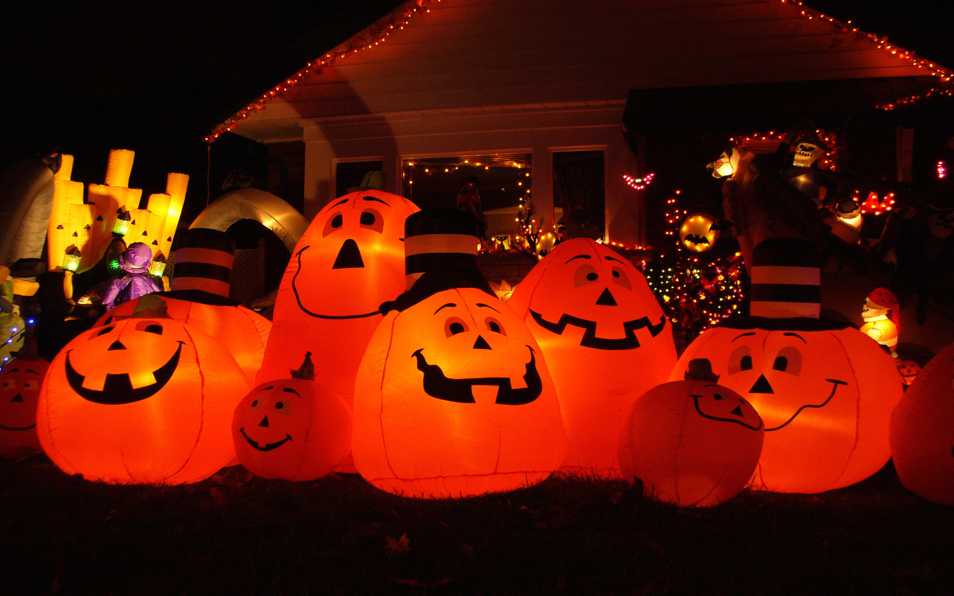 carta da parati animata di halloween,jack o lantern,dolcetto o scherzetto,arancia,illuminazione,calabaza