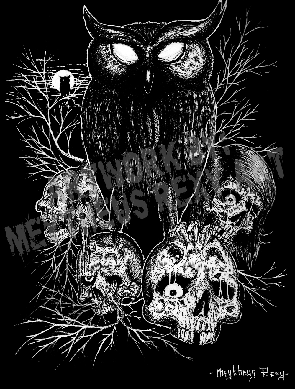 wallpaper tengkorak 3d,owl,eastern screech owl,illustration,branch,bird of prey