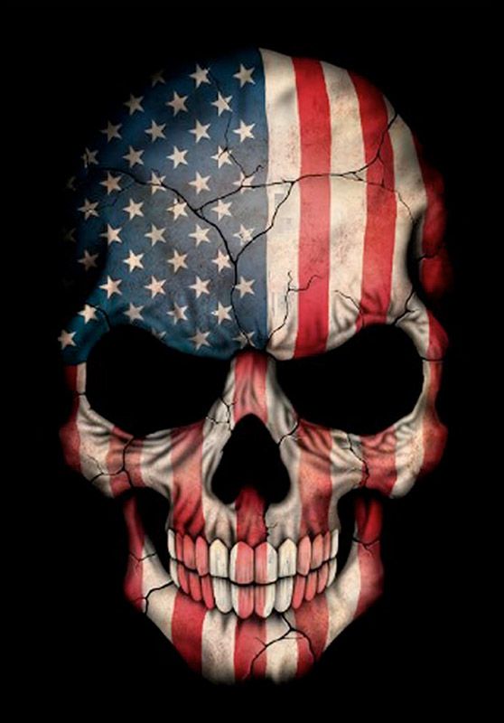 미국의 두개골 벽지,뼈,두개골,머리,깃발,입